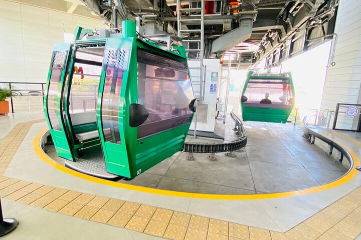 Explore Pereira; History, Gastronomy, coffee and cable car