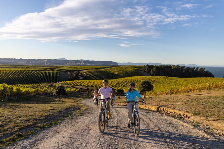 Self-Guided Biking Wine Tour (full day) in the Marlborough Region.