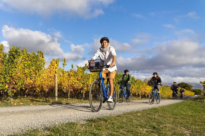 Self-Guided Biking Wine Tour (full day) in the Marlborough Region.