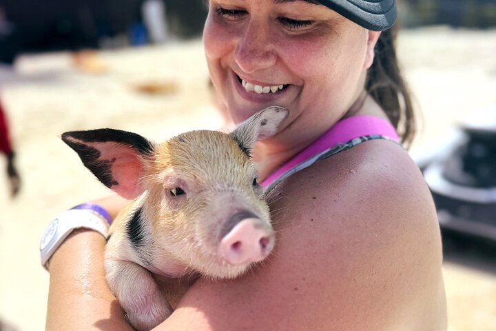 Nassau Swimming Pigs: Snorkeling, Lunch & Private Beach Club
