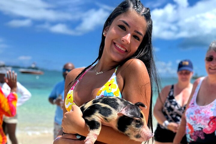 Nassau Swimming Pigs: Snorkeling, Lunch & Private Beach Club
