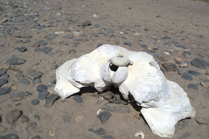 Skeleton Coast Park, and Ship Wrecks Old Oil Rigg, Diamond Field