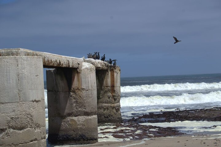 Skeleton Coast Park, and Ship Wrecks Old Oil Rigg, Diamond Field