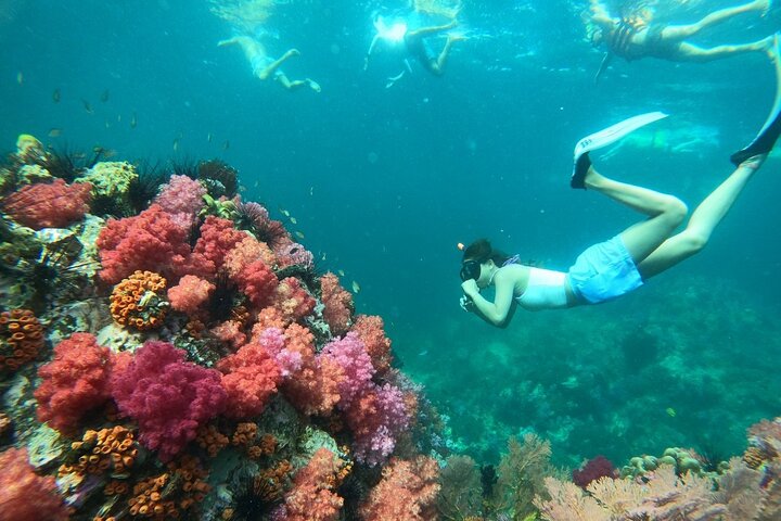 Private Koh Lipe Inner Zone Snorkeling Tour by Longtail Boat