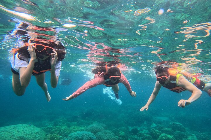 Private Koh Lipe Inner Zone Snorkeling Tour by Longtail Boat