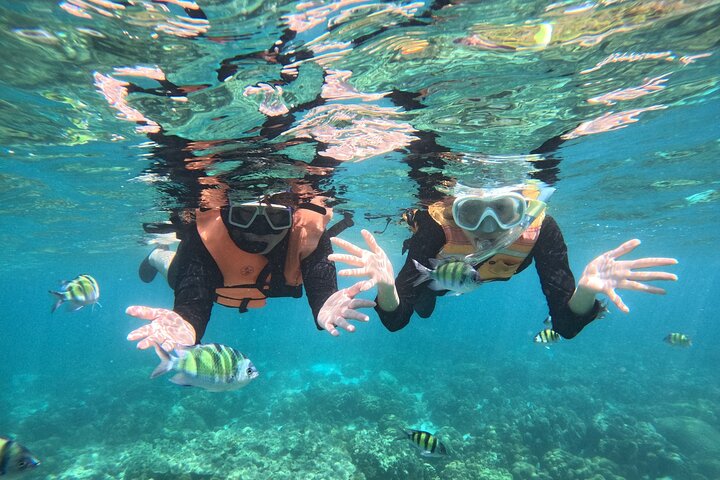Private Koh Lipe Inner Zone Snorkeling Tour by Longtail Boat