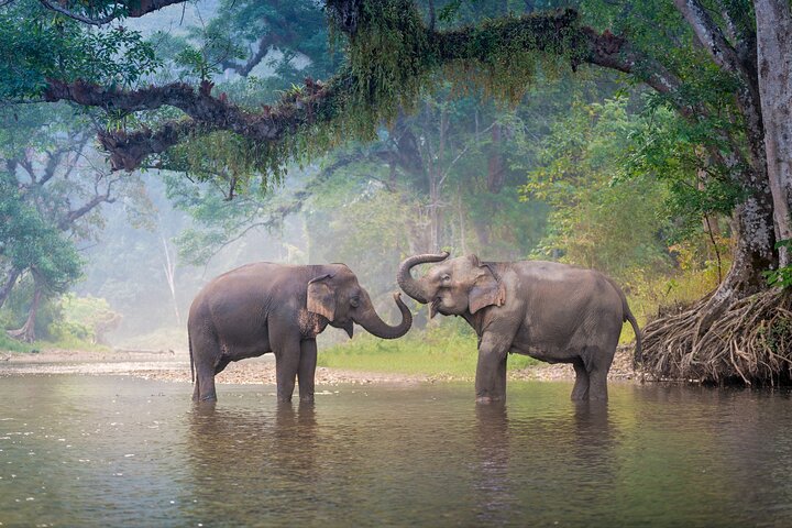 Yala National Park High-Luxury PRIVATE Tours with Entry Tickets
