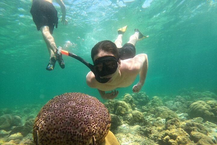 Koh Lipe 5 Islands Snorkeling Trip by Private Longtail Boat