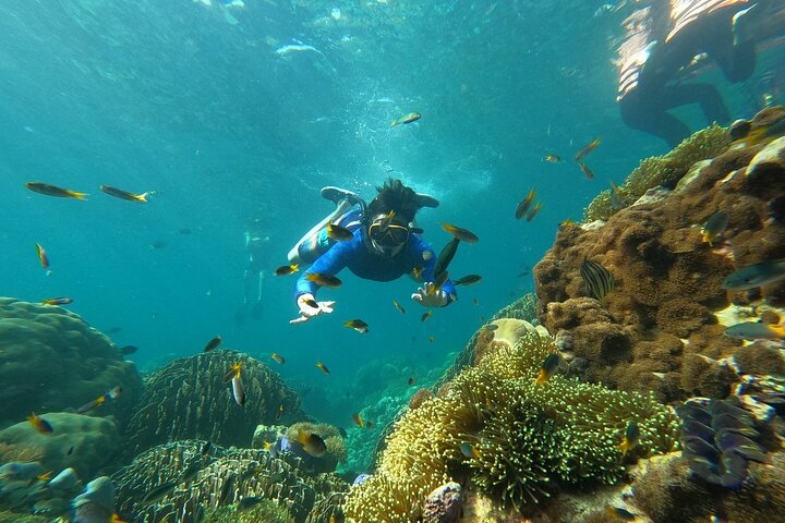 Koh Lipe 5 Islands Snorkeling Trip by Private Longtail Boat