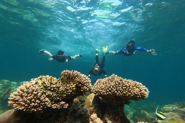 Koh Lipe 5 Islands Snorkeling Trip by Private Longtail Boat