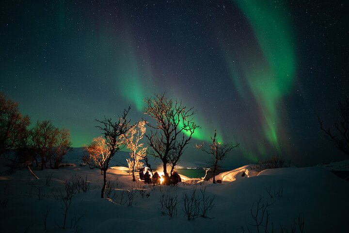 Northern Lights Minibus Chase from Tromsø with Chasing Lights