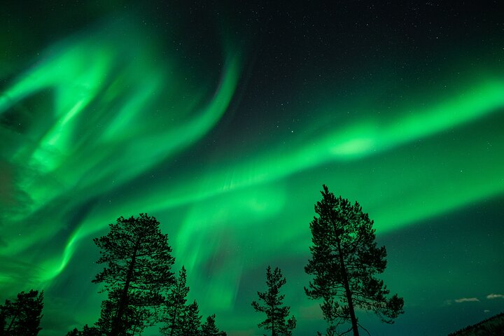 Northern Lights Minibus Chase from Tromsø with Chasing Lights