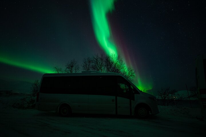 Northern Lights Minibus Chase from Tromsø with Chasing Lights