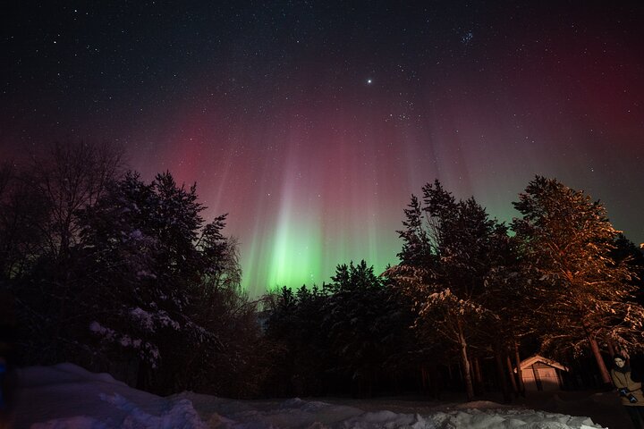 Northern Lights Minibus Chase from Tromsø with Chasing Lights