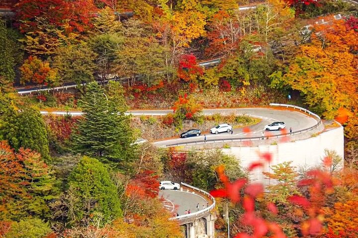 Nikko Private Tour With English Speaking Guide