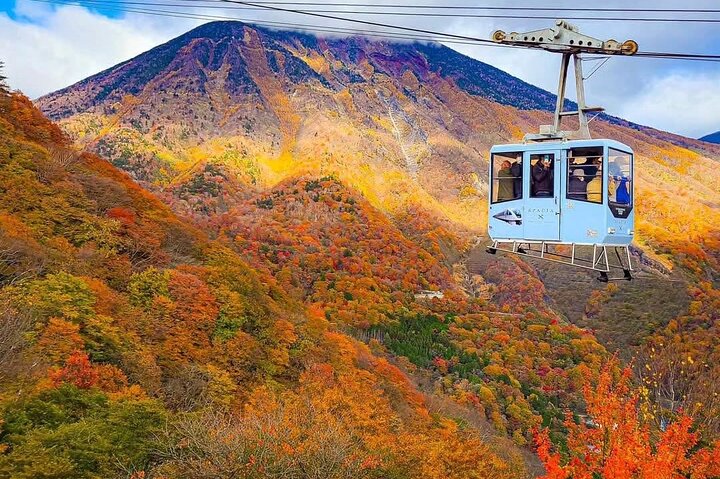 Nikko Private Tour With English Speaking Guide