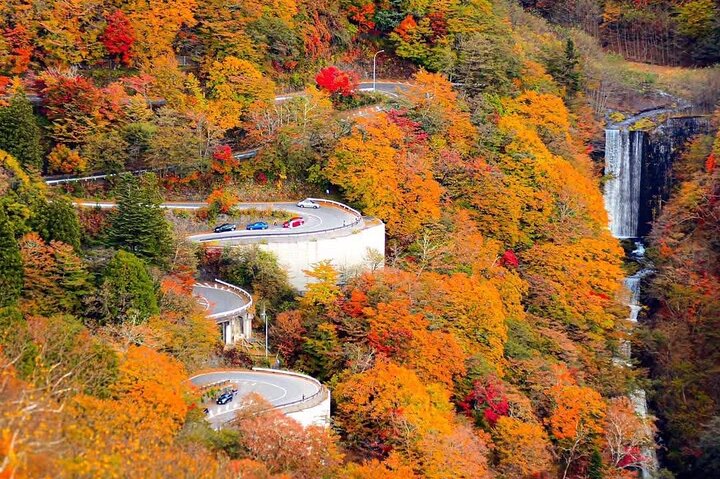 Nikko Private Tour With English Speaking Guide