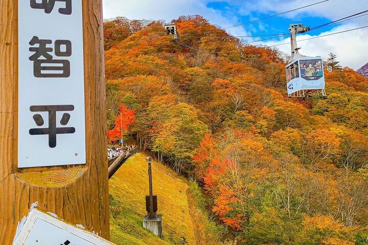 Nikko Private Tour With English Speaking Guide