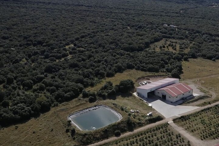 La Rioja Biosphere Organic Pig Farm and Ham and Wine Tasting