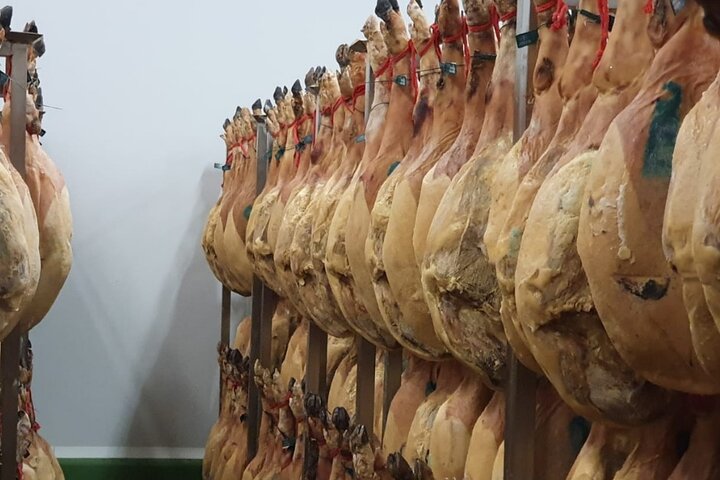 La Rioja Biosphere Organic Pig Farm and Ham and Wine Tasting