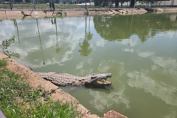 Head to Yamoussoukro the City of a Thousand Wonders