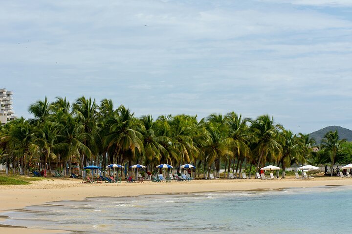 Samaná Horseback Riding with El Limón Waterfall and Morón Beach