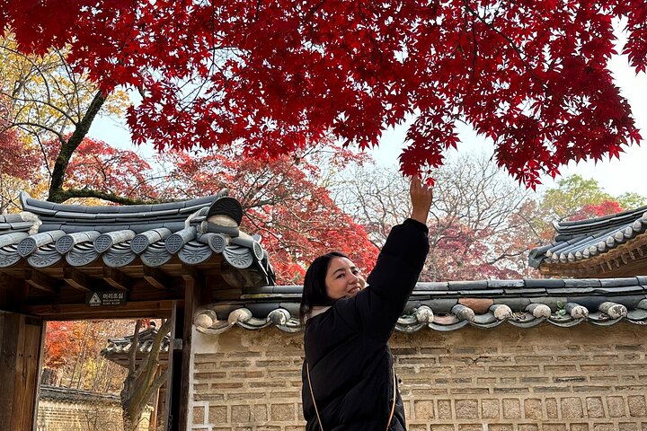 Seoul Private Layover Tour from the Airport with a Local