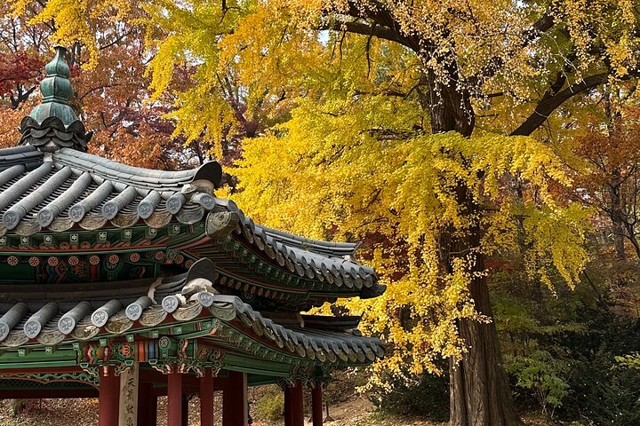 Seoul Private Layover Tour from the Airport with a Local