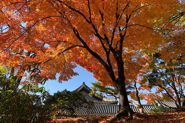 Seoul Private Layover Tour from the Airport with a Local