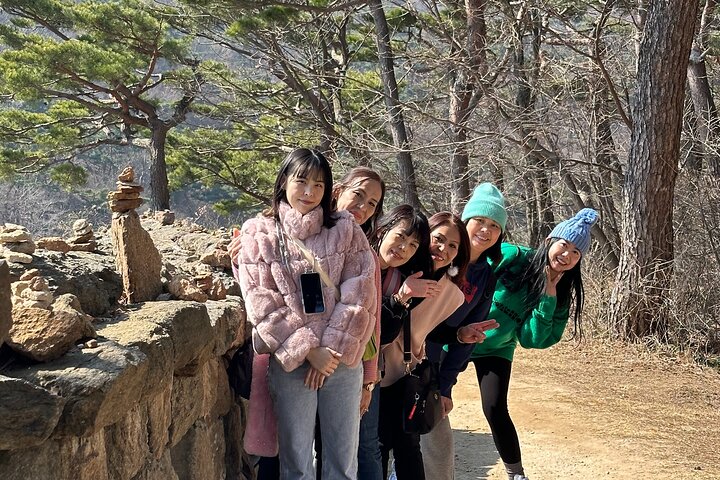 Seoul Private Layover Tour from the Airport with a Local