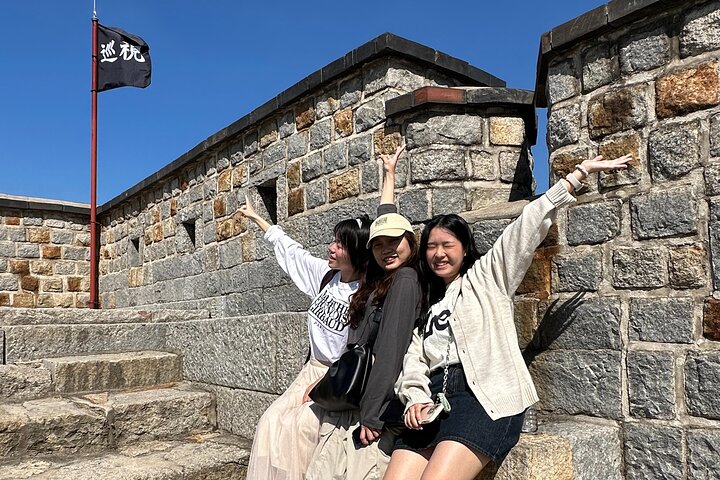 Seoul Private Layover Tour from the Airport with a Local