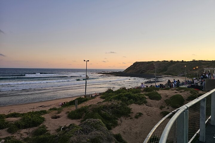 Phillip Island: Golden Hour Penguin Express Tour w/ Island Pickup