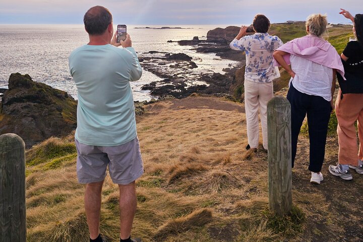Phillip Island: Golden Hour Penguin Express Tour w/ Island Pickup