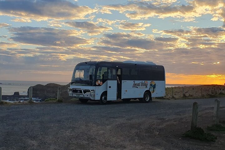 Phillip Island: Golden Hour Penguin Express Tour w/ Island Pickup