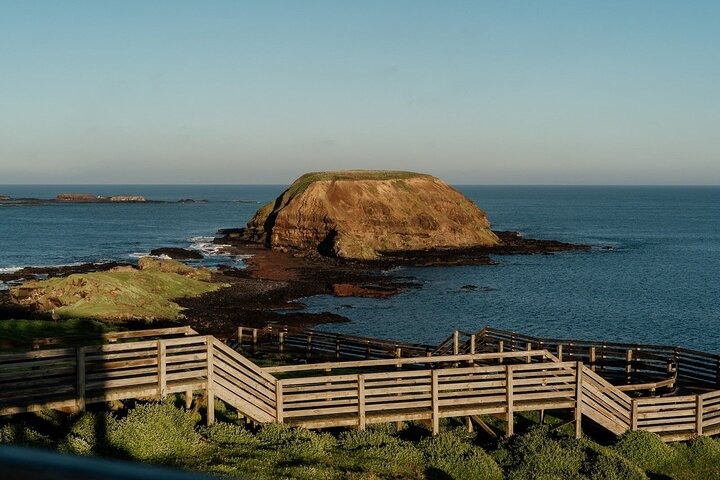 Phillip Island: Golden Hour Penguin Express Tour w/ Island Pickup