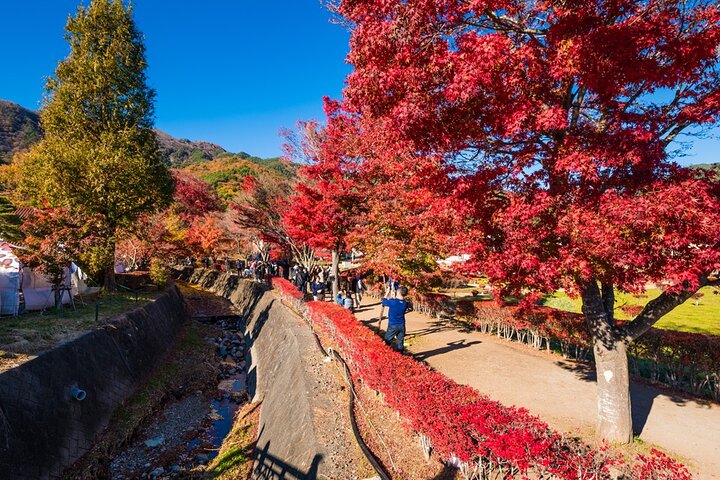 Mount Fuji Private Tour With English Guide Fully Customizable