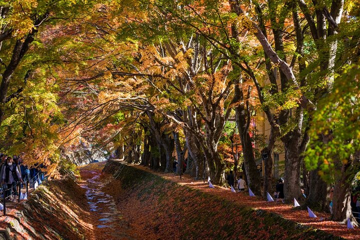 Mount Fuji Private Tour With English Guide Fully Customizable