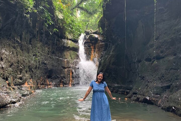 Manila Rainforest Escape and Waterfall Tour