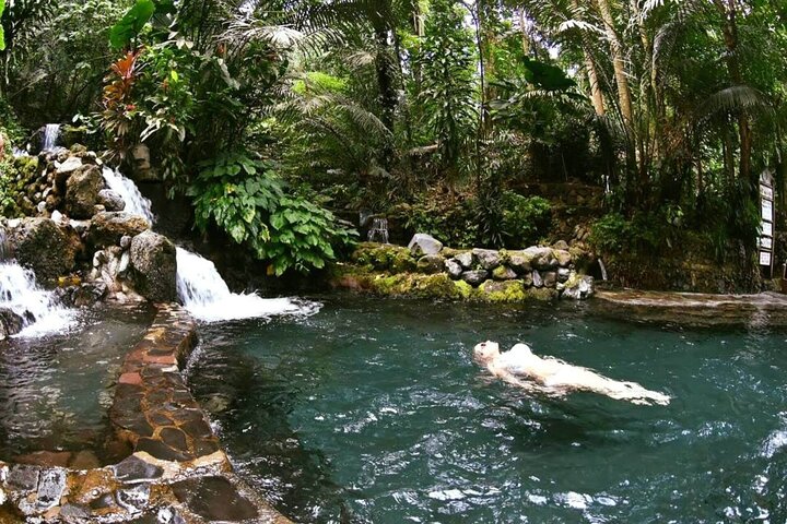 Manila Rainforest Escape and Waterfall Tour