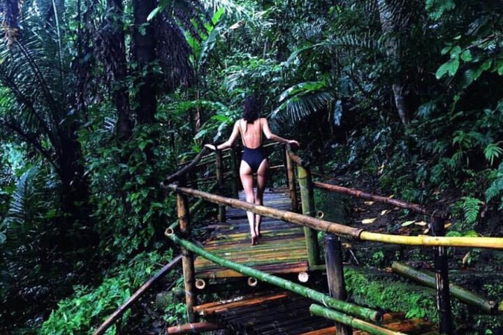 Manila Rainforest Escape and Waterfall Tour