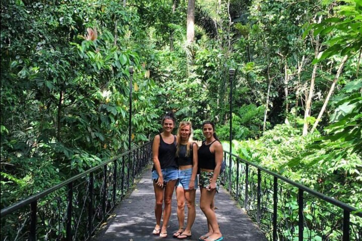 Manila Rainforest Escape and Waterfall Tour