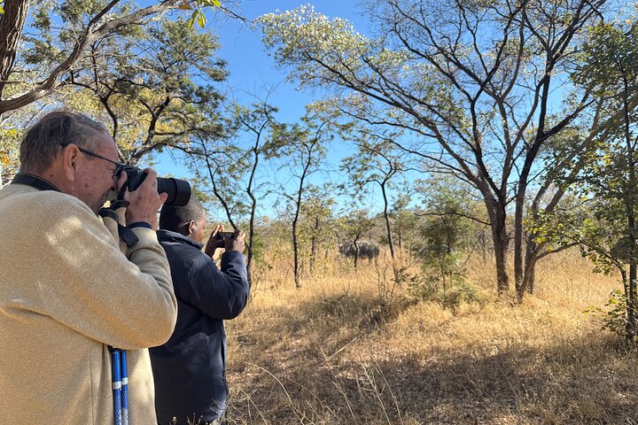 Full-Day Matobo Rhino Tracking & Rock Art from Bulawayo