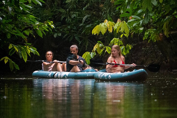 The Sloth and Kayak Tour - Ethical wildlife encounters