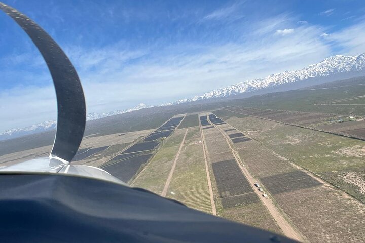 Fly Over the Vineyards of Mendoza