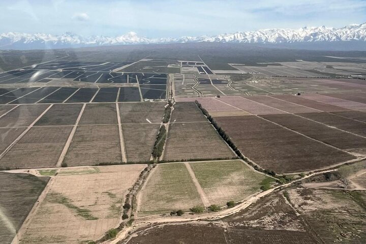 Fly Over the Vineyards of Mendoza