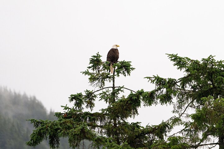 Sitka Historical Highlight Tour