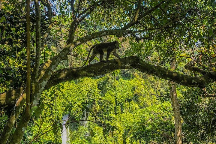 Lombok: Benang Stokel and Kelambu Waterfall Adventure Tour