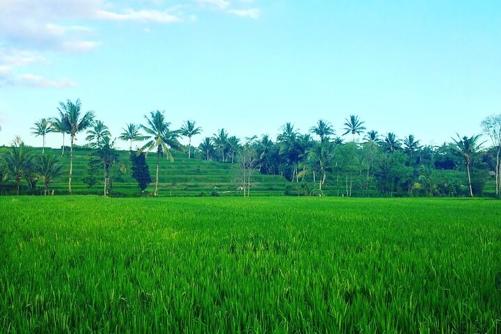 Lombok: Benang Stokel and Kelambu Waterfall Adventure Tour