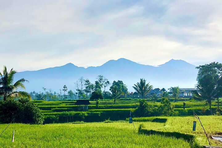 Lombok: Benang Stokel and Kelambu Waterfall Adventure Tour