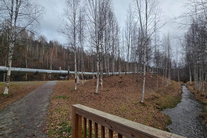 Heart of Fairbanks Tour Culture, History and Fun